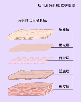 1556963026166190.png image.png